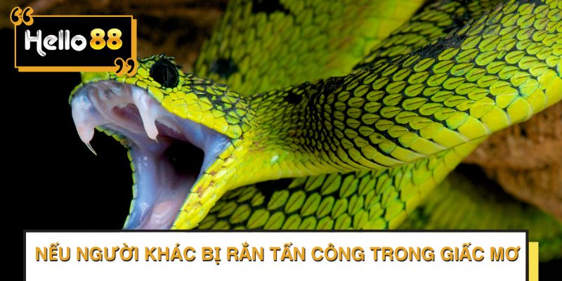 Nếu mơ bị rắn cắn người khác, đánh số nào?