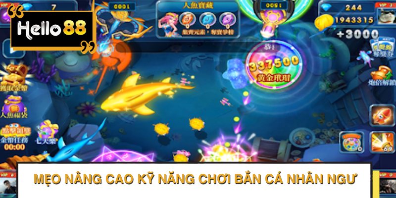 Mẹo Nâng Cao Kỹ Năng Chơi Bắn cá nhân ngư