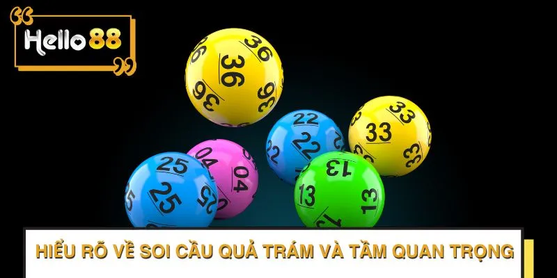 Hiểu rõ về Soi cầu quả trám và tầm quan trọng của nó